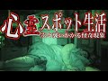 【閲覧注意】次々襲いかかる怪奇現象…心霊スポットで1泊2日検証！中編【ホラー|デニ怖】