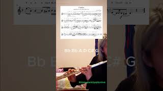 I stole it from the violins| Czardas, but on flute| sheet music