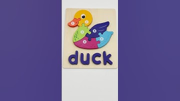 Duck Puzzle Fun Toy | Educational Video For Toddlers