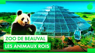 The zoo de Beauval success story