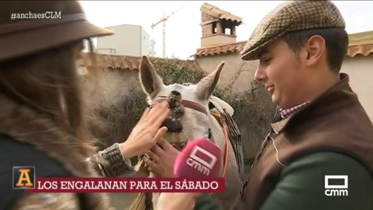 Los caballos de Menasalvas, a punto - Ancha es CLM - CMM
