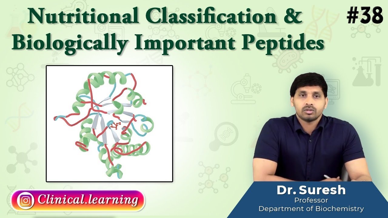 38. Nutritional Classification & Biologically Important Peptides - YouTube