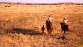 Johnny Guitar - The Shadows Resimi