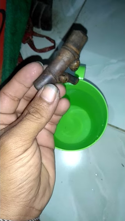 Cara mengetes bambu petuk asli