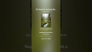 The Fenacins Targeting Muscarinic M3r Folk