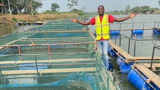 J’ai Visité La Plus Grande Ferme D’élevage De Poissons Du Cameroun - C’est Incroyable !