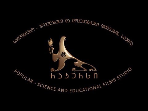 ადამიანის ორგანოებით უკანონო ვაჭრობა: დავით მარდიანის საქმე (2016) /18+