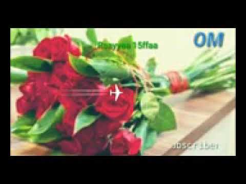 RAAYYAA ABBAA MACCAA 15FFAA