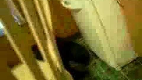 I can haz chezbuger?