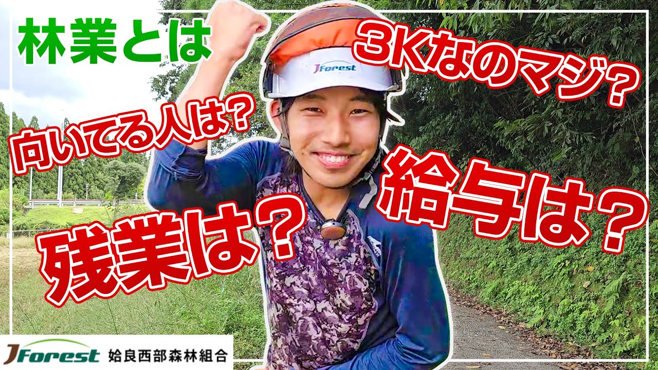 林業作業員が本音で語るホントの所！ 残業は？給料は？キツイ？全部お答えします！