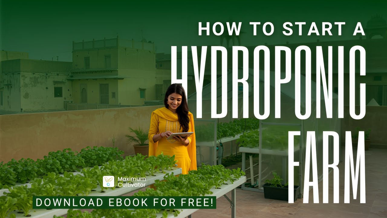 How to Start a Hydroponic Farm | Free eBook 📖 | Hydroponics for ...