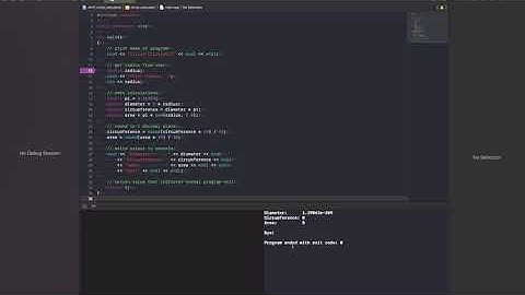 Debugging in Xcode: Breakpoints and monitoring variables.