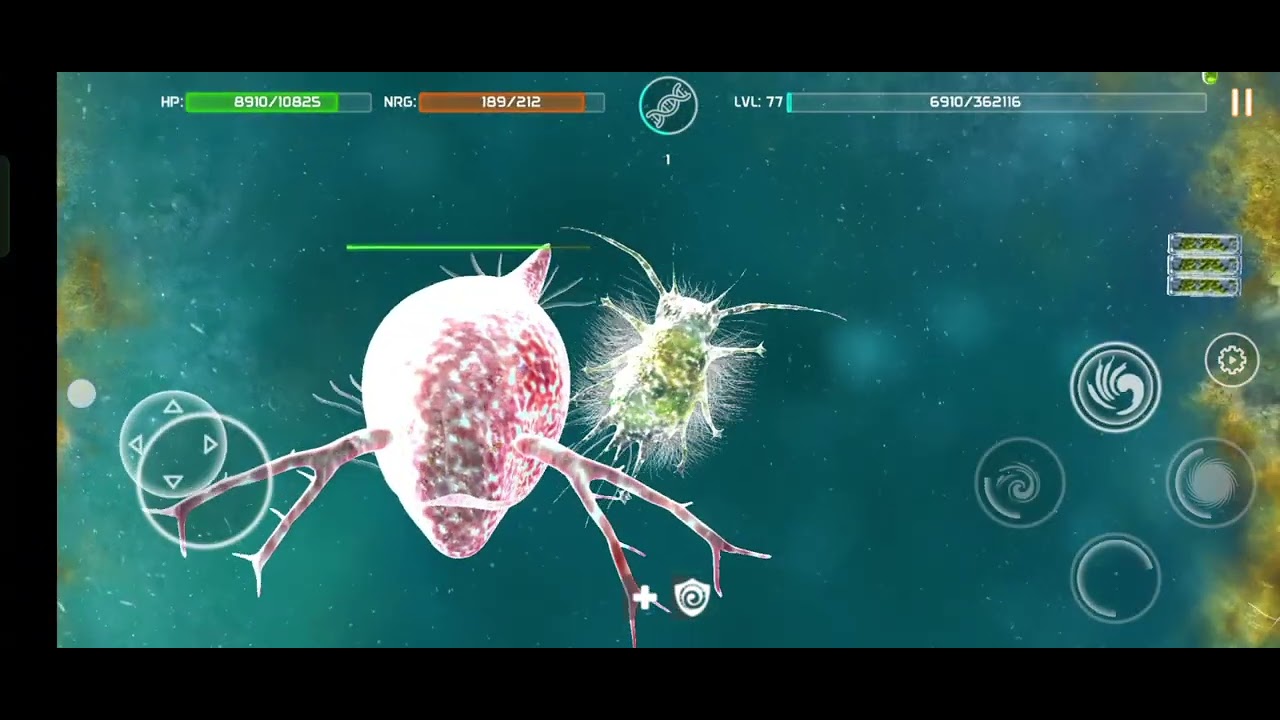 Florarcus heimi vs daphnia (Bionix spore evolution sim 3d).