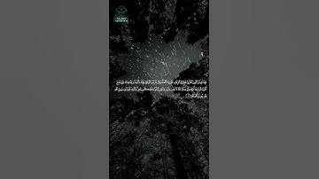سورة محمد • مدنية • بصوت ناصر القطامي | عدد الآيات: 38 #قرآن #Quran #تلاوة #قرآن_كريم #محمد
