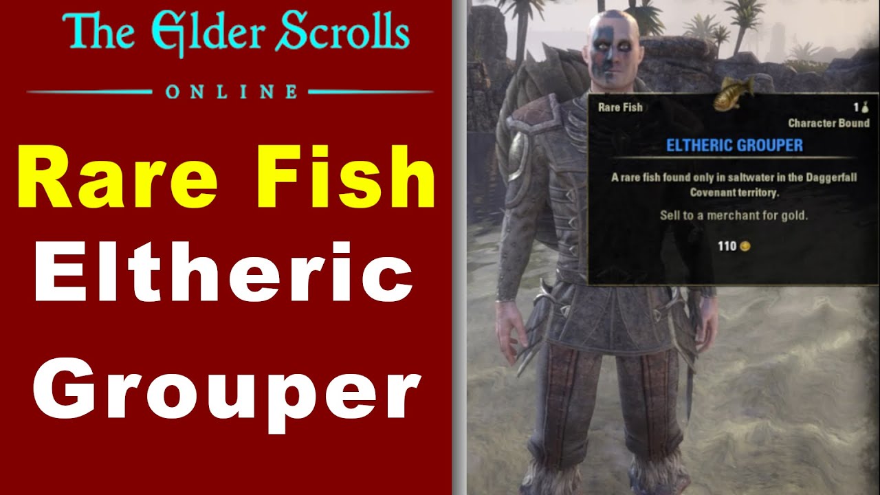 How to Catch Rare Fish Eltheric Grouper in Stros Mkai Angler ESO