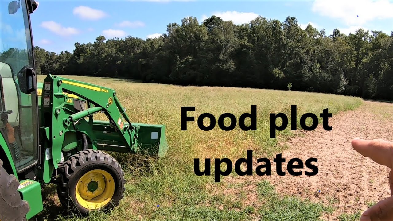 #169 Food plot updates, John Deere 4066R, Caroni flail mower - YouTube