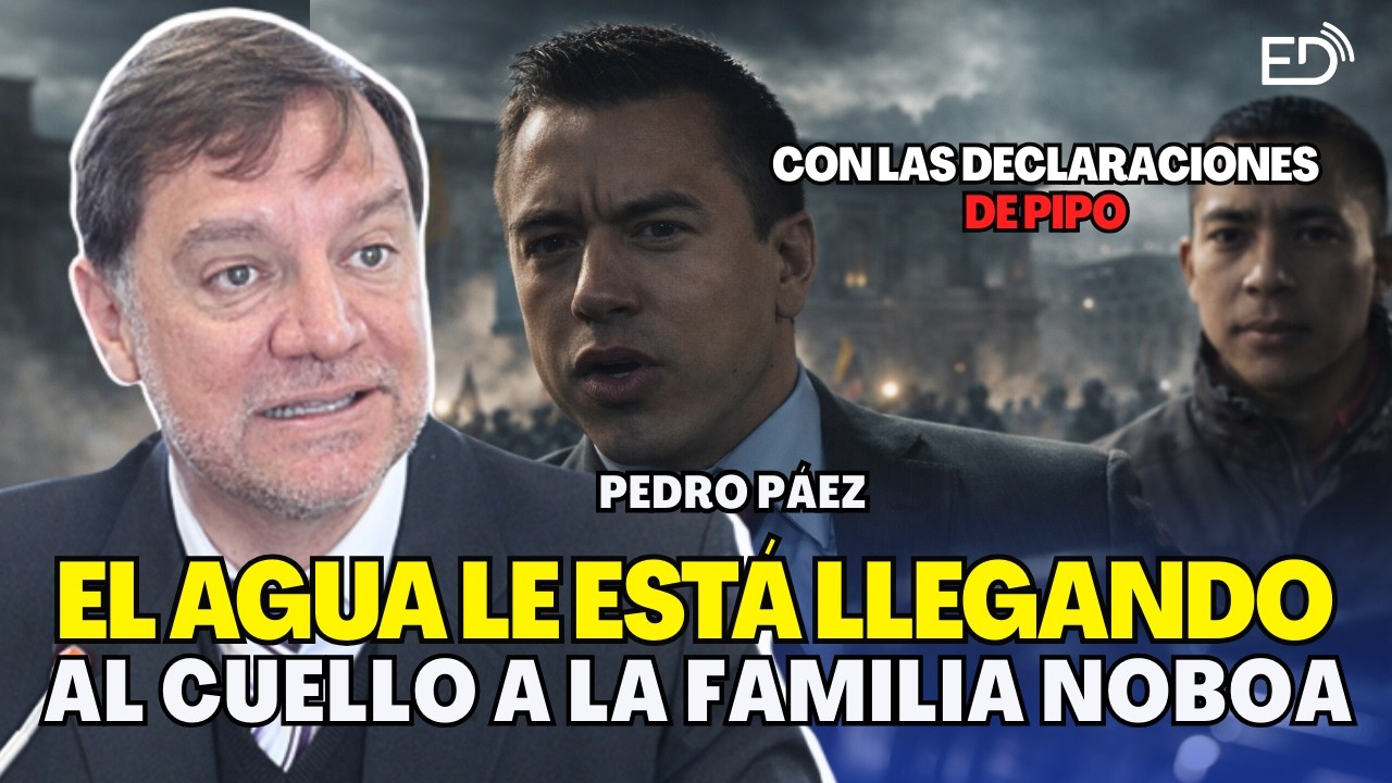 Están quebrando a las instituciones públicas para después privatizarlas | Pedro Páez.