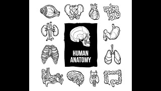 BIO 106 Chapter 15 -2  Digestive System - Nutrition