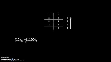 Representing negative numbers by 1