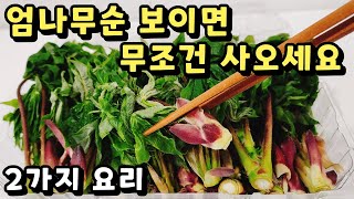 💚엄나무순(개두릅) 보이면 무조건 많이 사오세요 봄철 보약명약 엄나무순! 영양만점 이렇게 무쳐 보세요