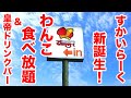 すかいらーく新誕生 わんこ食べ放題システム 皇帝ドリンクバーも圧巻 すかいらーく新誕生 わんこ食べ放題システム 皇帝ドリンクバーも圧巻