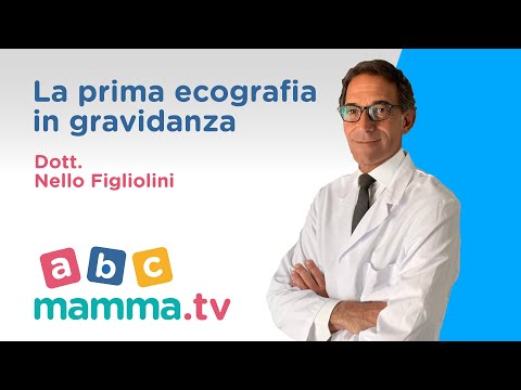 LA PRIMA ECOGRAFIA IN GRAVIDANZA. Primo trimestre