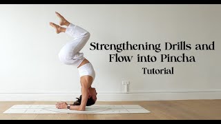 Strengthening Drills and Flow into Pincha Mayurasana (Forearm Balance) | Yoga with Katrina
