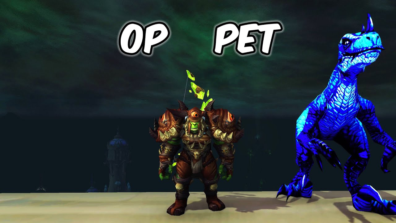 OP Pet - Beast Mastery Hunter PvP - WoW BFA 8.1.5 - YouTube