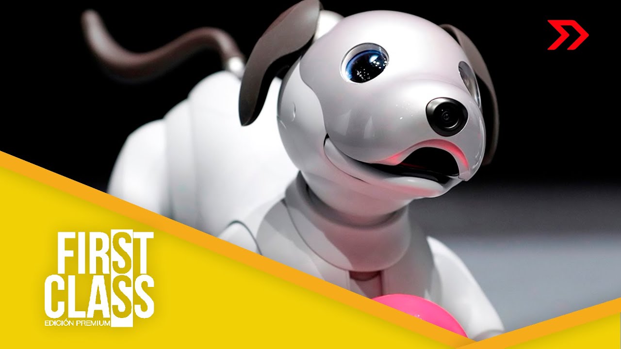 Aibo, el perro-robot que aprende a estimar