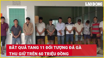 Bắt quả tang 11 đối tượng đá gà thu giữ trên 60 triệu đồng| Báo Lao Động