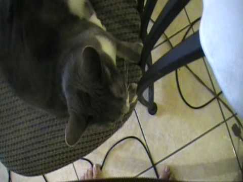 Pussy cleaner Pussy cleaner