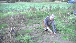 ATTAQUES SAUVAGES D'ANIMAUX [ HD ] screenshot 2