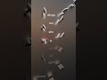 Did You Recognize This Song Satisfying Asmr Relaxing Ringtone Fyp Did You Recognize This Song Satisfying Asmr Relaxing Ringtone Fyp
