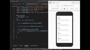 Java Spring-Angular,Ionic #2