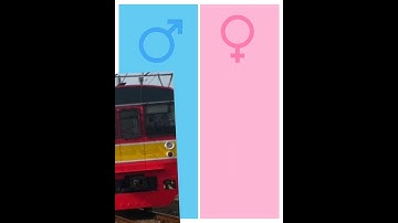 KRL livery KCI dan KRL livery NL versi boy dan girl