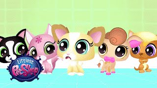 Littlest Pet Shop - 'Blythe & Bunny' Webisode