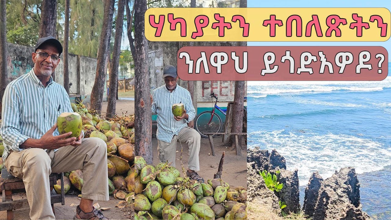 ሃካያትን ተበለጽትን ንለዋህ ይጎድእዎዶ?