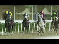 RM 31  Al Rayyan Race 4 -   Umm Al Zubar Cup
