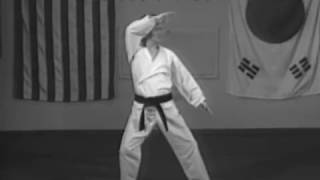 Advanced Low Blocks and Strikes