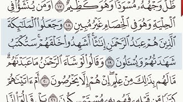 القرآن الكريم سورة الزخرف الآية 19