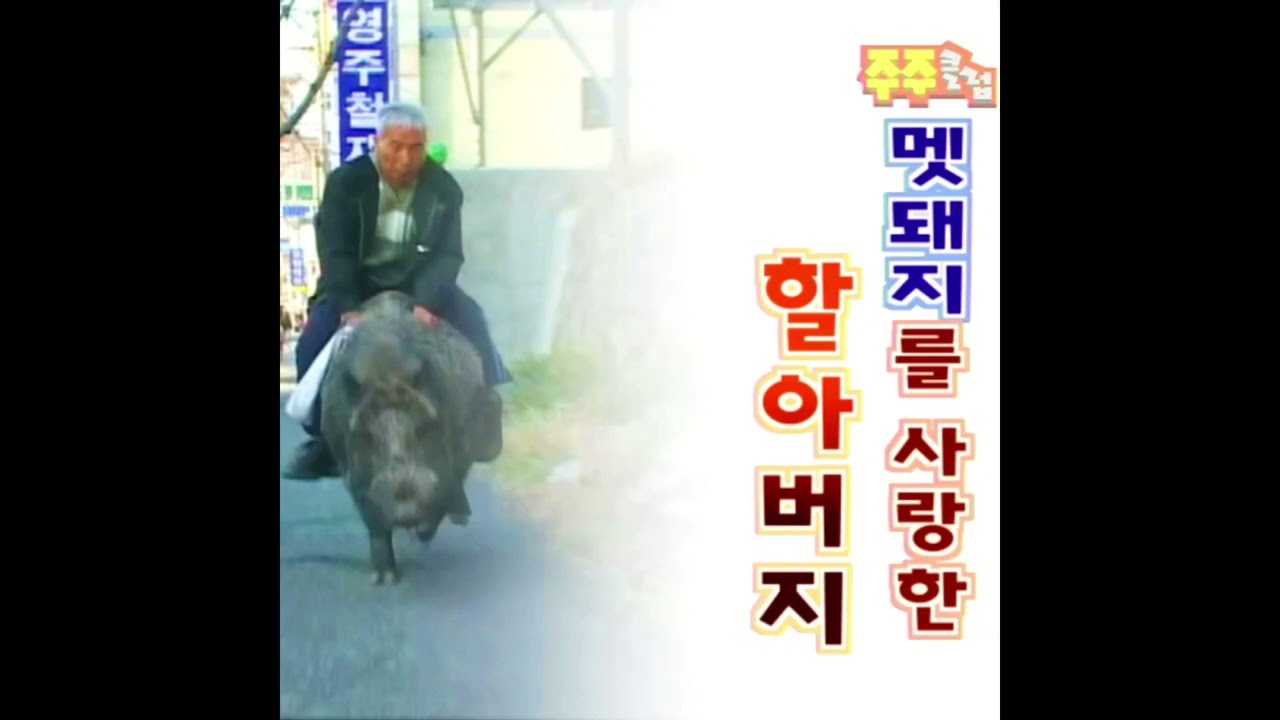 Experimental x Jpegmafia type beat | Newgaze