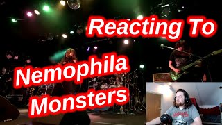 Reacting To Nemophila - Monsters ( Live Video)