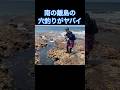 南の離島のサンゴ礁の穴釣りが半端ない。