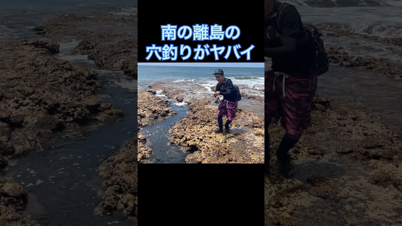 南の離島のサンゴ礁の穴釣りが半端ない。
