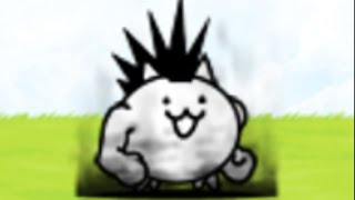 Awakening li'l Mohawk cat