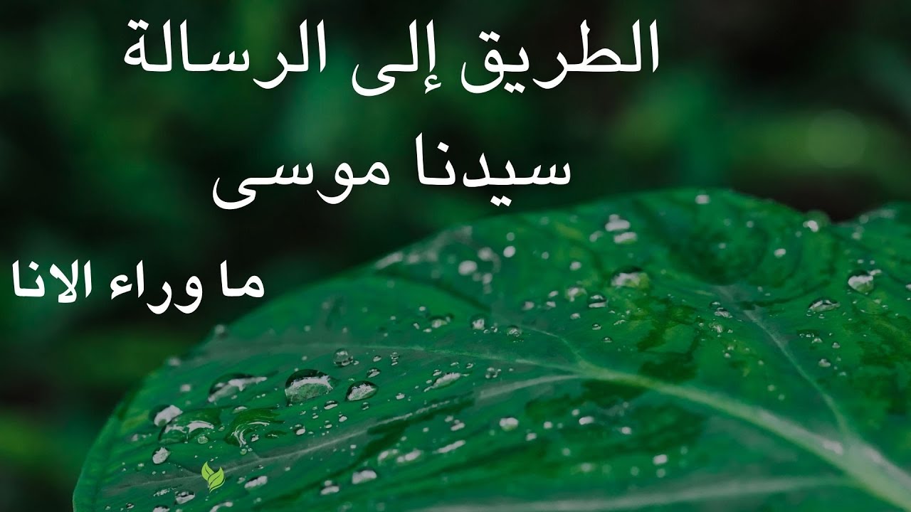 قصة موسى كما لم تُروَ من قبل | رحلة التحوّل من الخوف إلى الوعي