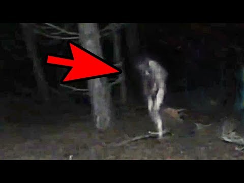 5 Mysterious Creatures Caught On Camera : Top 5 STRANGE Creatures