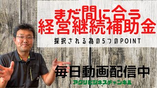 経営継続補助金申請のポイント！！審査が上手くいく5つのポイントまとめ