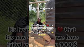 Paypal Link In Bio To Donate 