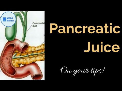 Pancreatic Juice : Composition & Function | Gastric Physiology